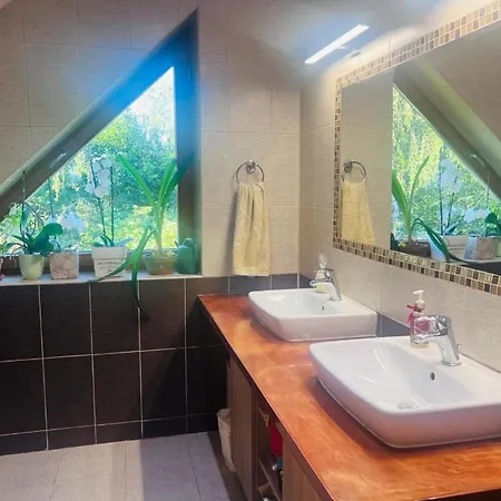 The Garden Oasis Tremblat